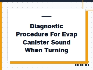 Diagnostic Procedure for an Evaporative Canister Sound