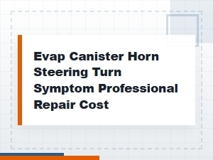 Evap Canister Horn Sounds When Steering
